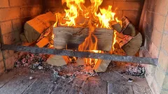 Jakich gatunków drewna nie wolno spalać w domu: te gatunki nie zapewniają ciepła