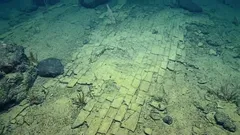 „Żółta ceglana droga” w głębokich obszarach oceanu budzi zdziwienie — wyjaśnienie tego zjawiska sprawia na chwilę wrażenie, jakby dno morskie było czymś zupełnie nowym.